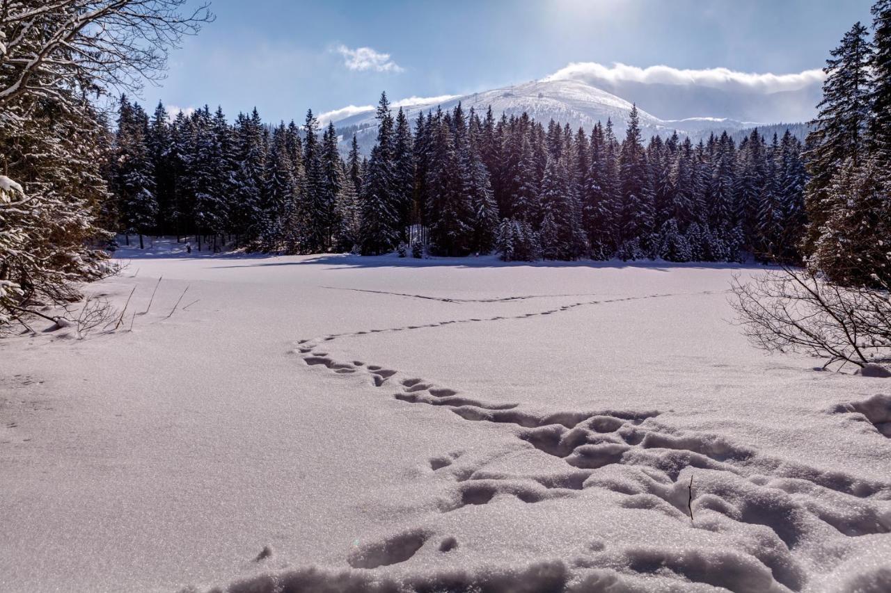 Chata Nella - Jasna เดมานอฟสกา โดลินา ภายนอก รูปภาพ